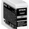 Epson UltraChrome Pro 10 Gray -värikasetti (T46S7) SC-P700