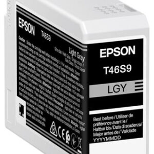 Epson UltraChrome Pro 10 Light Gray -värikasetti (T46S9) SC-P700